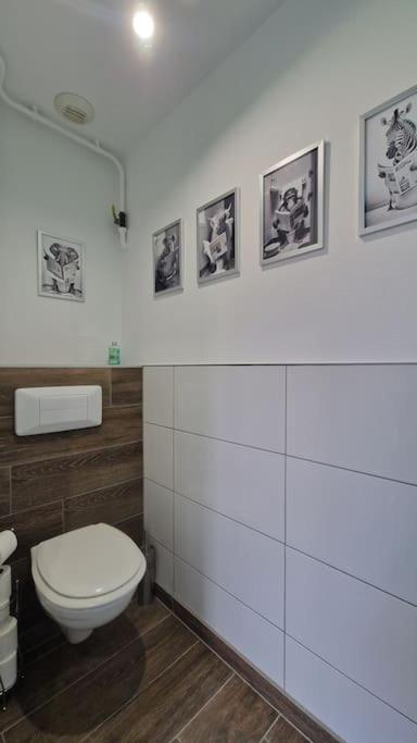 Modern Jungle - Colmar Apartment ภายนอก รูปภาพ