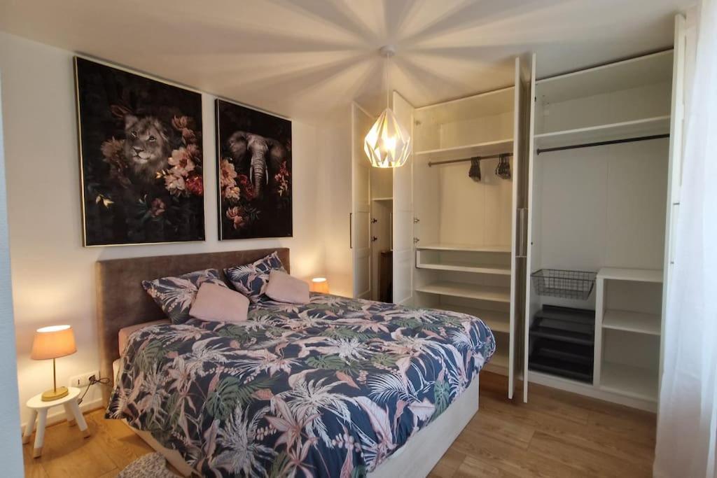 Modern Jungle - Colmar Apartment ภายนอก รูปภาพ